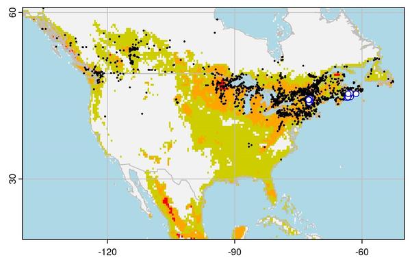 A Species Distribution Model heatmap of North America, showing the highest suitability scores around the Great Lakes. The known occurrences of Chrysolina fastuosa are plotted in Nova Scotia and New England. Records for its host plant *Galeopsis tetrahit* are shown densely around the great lakes and the northeastern US/south eastern Canada, but also in western Canada.