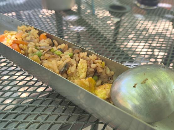 The long, round cooking tray of a vacuated-tube solar oven rests on an outdoor table in the shade. The fried rice inside is obviously being eaten directly out of the tray.