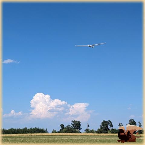 Segelflieger im Landeanflug über einem Feld. Im Hintergrund türmen sich über einigen Bäumen erste Gewitterwolken auf.