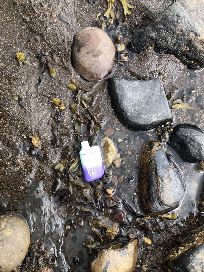 Discarded single-use vape on the beach