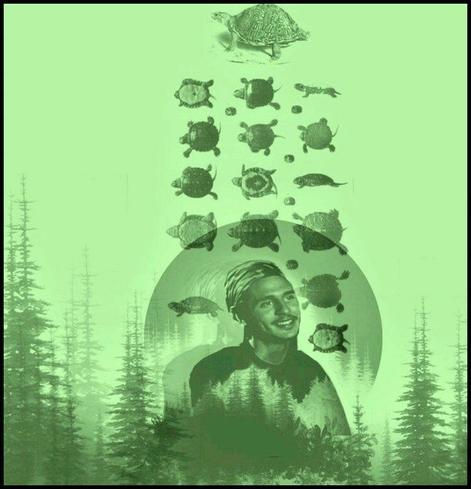 Picture of Tortuguita smiling, with several turtles above and around them. Background is forest trees.