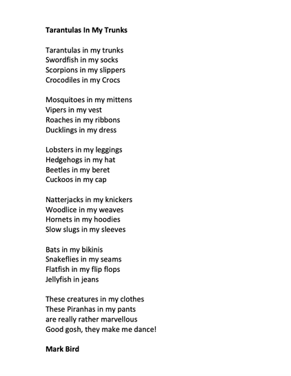 Tarantulas In My Trunks

Tarantulas in my trunks
Swordfish in my socks
Scorpions in my slippers  
Crocodiles in my Crocs

Mosquitoes in my mittens
Vipers in my vest
Roaches in my ribbons
Ducklings in my dress

Lobsters in my leggings
Hedgehogs in my hat
Beetles in my beret
Cuckoos in my cap

Natterjacks in my knickers
Woodlice in my weaves
Hornets in my hoodies
Slow slugs in my sleeves

Bats in my bikinis
Snakeflies in my seams
Flatfish in my flip flops 
Jellyfish in jeans

These creatures in my clothes
These Piranhas in my pants  
are really rather marvellous
Good gosh, they make me dance!

Mark Bird