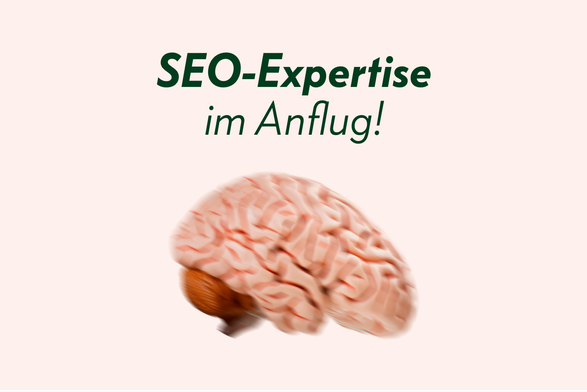 Fliegendes Gehirn als Zeichen von Expertise im Bereich SEO die dir zufliegt