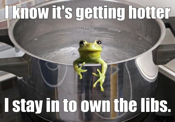 Frog in pot of water. Text reads I know it's getting hotter I stay in to own the libs.