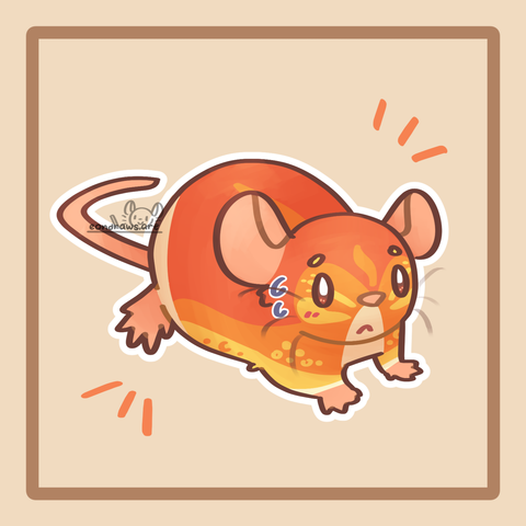 drawing of howlinkiro's OC Mango, a rat with red, orange, yellow, and beige fur, and various markings. Mango is looking shy and is sweating nervously