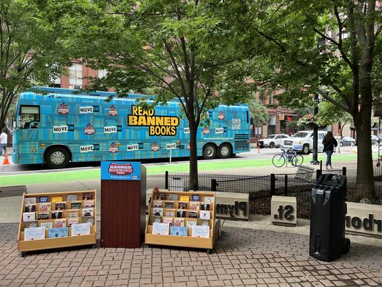 They set up a little podium and bookshelves in the park