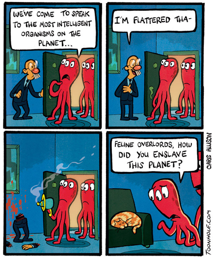 four panel oicture from chris allison
panel 1 - aliens visit a house and say - "we've come to speak to the most intelligent organisms on the planet"
panel 2 - the human thinks it is him they are talking about and starts to say " i'm flattered tha--" 
panel 3 - the aliens vapourise the upper half of the human
panel 4 - they reach the cat inside the house and ask " feline overlords, how did you enslave this planet ?"
