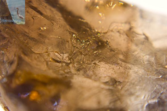 A macro, close-in photograph of a smoky quartz crystal, a translucent crystal with a brown cast and darker brown streaks inside.