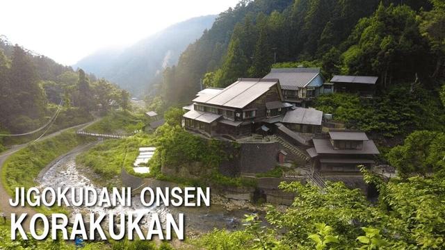 Japan Travel｜Snow Monkey Park in Summer! Jigokudani Onsen Korakukan | Nagano