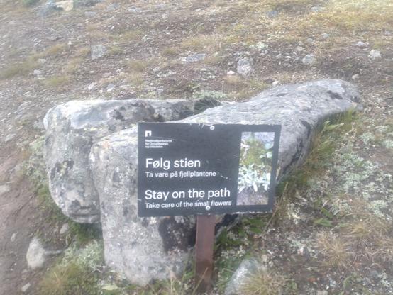 Et skilt med tekstene "Føg stien. Ta vare på fjellplantene" og "Stay on the path. Take care of the small flowers"