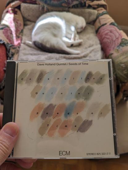 A CD cover, cat sleeping in the background.