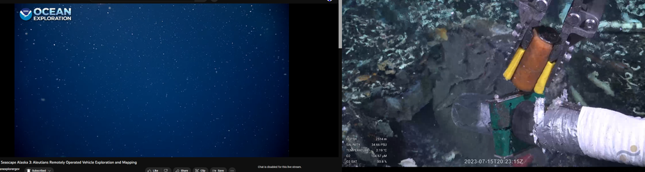screenshots of two different live feeds from the bottom of the ocean