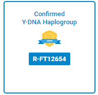 Badge from FTDNA showing a Y-DNA Haplogroup of R-FT12654