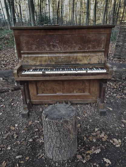 Ein altes Klavier im Wald in Bad Iburg. Davor ein Holzstumpf als Hocker.