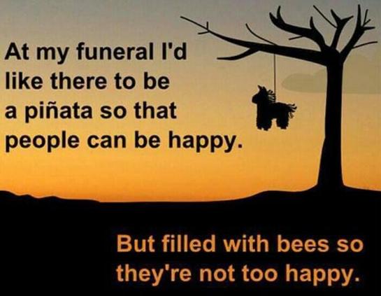 A silhouette of a bare branched tree with a dangling piñata against an orangey yellow sky. Text reads, “ At my funeral I'd like there to be a piñata so that people can be happy. But filled with bees so they're not too happy.”