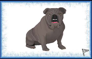 Our bulldog mascot is shown with a blue background.