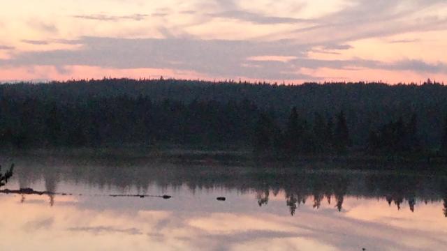Twilight over the ocean, waiting on sunrise. Wispy clouds are going by creating a slight pink, which reflects off the very still ocean surface. The Tide is near low so there's less water in the harbor, and the tree line in the horizon is almost indistinguishable in the dark.
