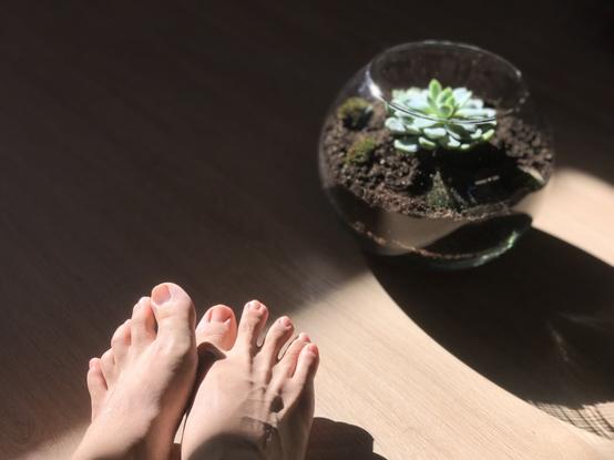 Bouts de pieds en premier plan, lumière du soleil et bol en verre dans lequel il y a une succulente avec de la mousse
