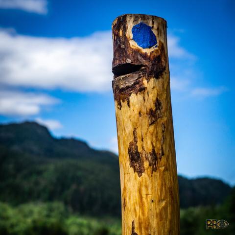The given name is "Svartdalsgubben». It came natural from this selfie taken "on location" when the scupture was finished. Photo: Manly face in front of the typical wooden hiltops skyline in Svartdal. The head with big blue eyes and a rough mouth over a Svartdal forested mountain range against a blue sky with some white clouds.