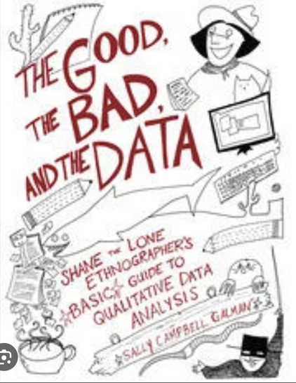 Book cover of The Good, the Bad, and the Data: Shane the Lone Ethnographer’s Basic Guide to Qualitative Data Analysis -