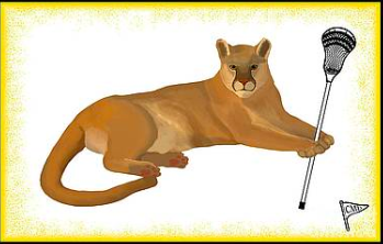 Our cougar mascot is playing lacrosse with a gold or yellow background.