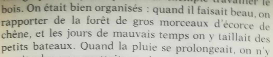 Photo d'un bout de page du livre avec une grosse faute de participe passé :
«quand il faisait beau, on rapporter de la forêt ...»