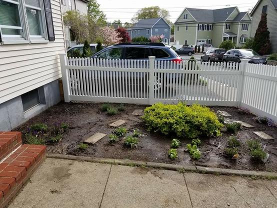 Picture of a mostly brown dirt plot with a few very small green plants in it.