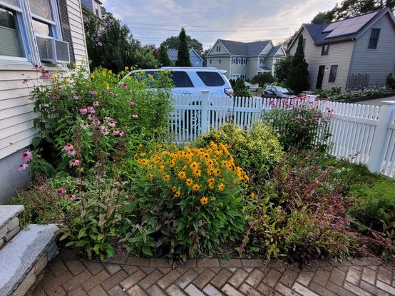 Picture of a vibrant flower garden with yellow pink and purple flowers