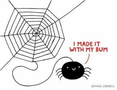 A cartoon by Gemma Correll of a spider looking happy after just making a web. The spider says: "I made it with my bum"