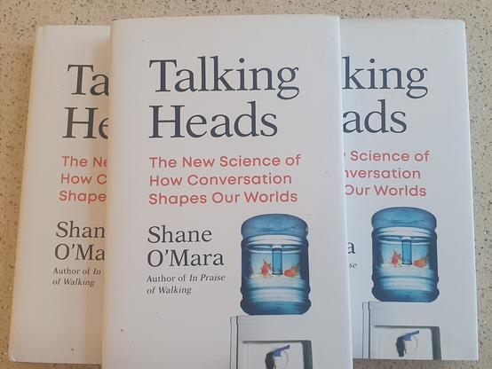 The cover of the new book Talking Heads with the author's name, Shane O'Mara. This book is also available in Audible form.