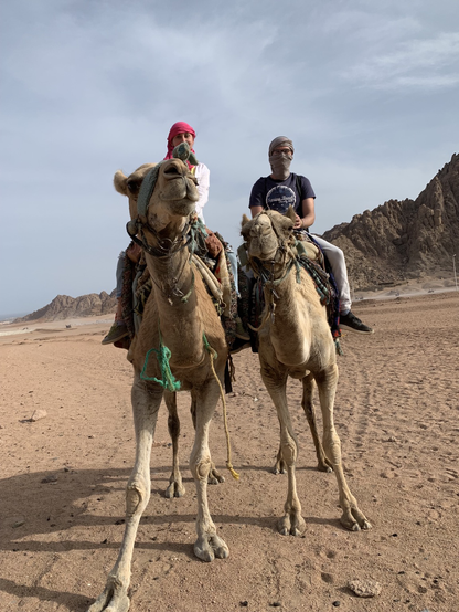Con la mia ragazza sui cammelli nel deserto del Sinai