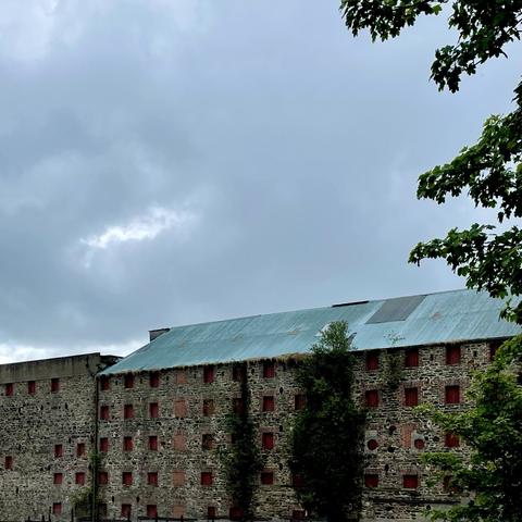 Grey overcast sky. Large 1800s industrial stone-fronted building with countless tiny squarish windows across a long and high facade. A greenish corrugated-like roof. A tree’s branches in right corner foreground.