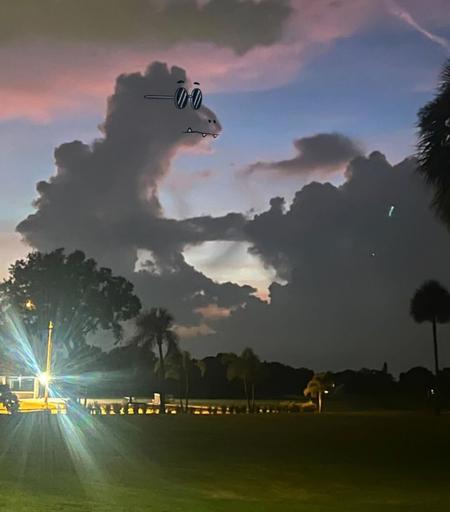 Photography and FunArt. A color film shot of dark clouds over a green park landscape with a square lit by lamps, which can be seen a little to the side. In the center of the image are two large gray clouds with cloud veils, which the artist has embellished with a felt-tip pen. On the big cloud he has drawn glasses and crocodile teeth. It now looks like a crocodile with sunglasses playing a piano with both arms in front of him.
Info:
ChrisJudge aka "ADailyCloud" (Instagram) takes cloud photos from the Internet and draws them faces. So he turns the countless cloud pictures into a unique image that makes us smile.
