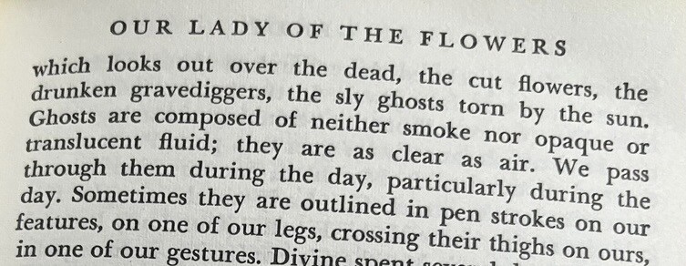 which looks out over the dead, the cut flowers, the drunken gravediggers, the sly ghosts torn by the sun. Ghosts are composed of neither smoke nor opaque or translucent fluid; they are as clear as air. We pass through them during the day, particularly during the day. Sometimes they are outlined in pen strokes on our features, on one of our legs, crossing their thighs on ours, in one of our gestures.