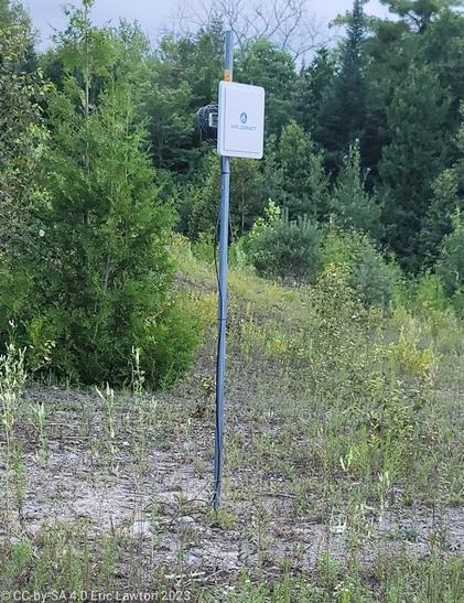 White rectangle, about 15×20 cm, on top of a 2 metre metal pole, with background of trees.
