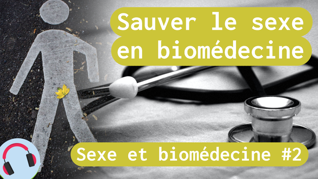 Miniature du podcast « Sexe et biomédecine », épisode 2. En fond, la photo de l'humain dessiné d'un passage piéton a une feuille jaune posée à l'endroit du sexe. À sa gauche, l'image fond vers une photo en noir et blanc de stéthoscope posé sur un tissu blanc. Le sous-titre annonce : « Sauver le sexe en biomédecine ».