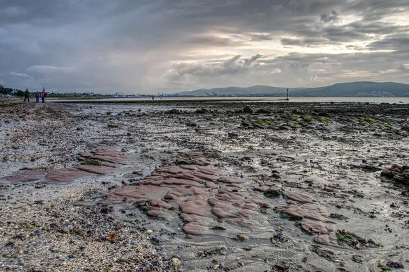Exposed Belfast Lough shoreline