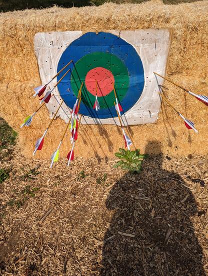 Haybales with an archery target pinned to them. Thirteen arrows are in the target, one is just off to the side in the haybales. One arrow is in the center ring.