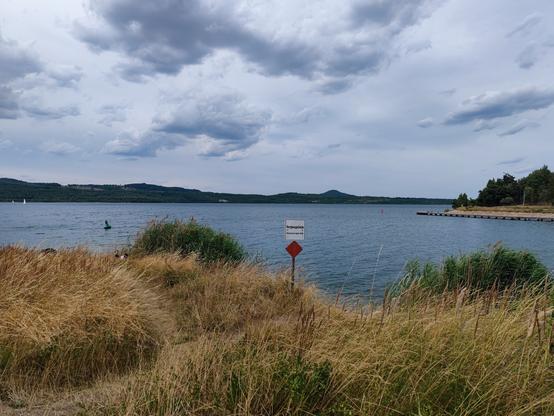 widok na jezioro, na pierwszym planie żółte trzciny, lekkie zachmurzenie