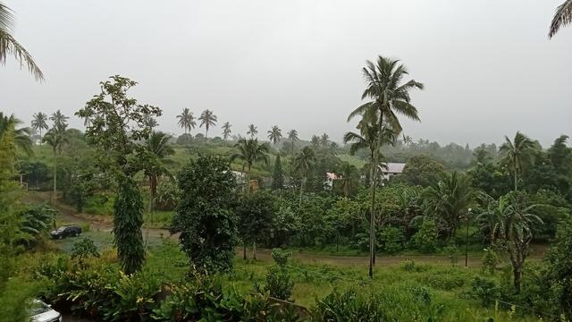 The Playfarm grounds view from Brizo Hotel.
