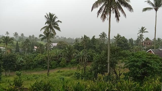 The Playfarm grounds view from Brizo Hotel.