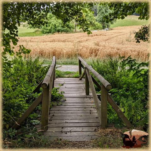 Eine kleine Holzbrücke mit Geländer führt über einen Graben oder Bach. Dahinter sind ein Feldweg und ein Getreidefeld zu erkennen.