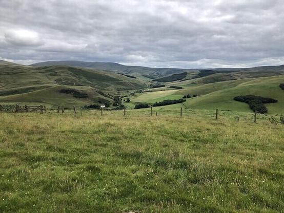 A very green glen amongst rolling hills seen from a high viewpoint. Fence (electric) in the foreground).