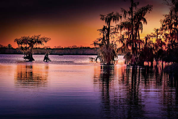 Lake Martin Louisiana Cypress Trees at sunset:

https://pixels.com/featured/lake-martin-sunset-in-orange-norma-brandsberg.html

More fine art photos: http://ElegantFinePhotography.com