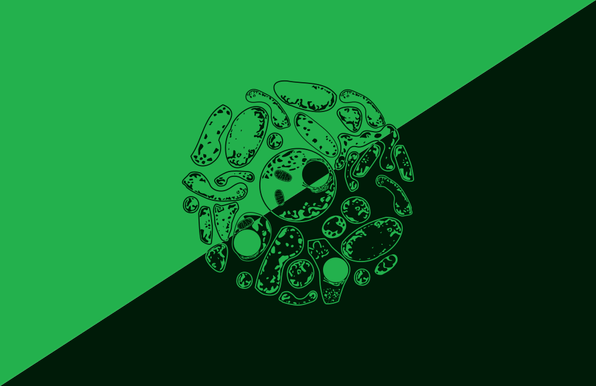 An anarcho-ecology flag (green and black, split in the diagonal) with drawings of microbial cells in the middle.