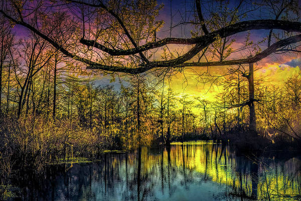 Lake Martin Louisiana Rainbow and Reflections here:

https://pixels.com/featured/lake-martin-rainbow-norma-brandsberg.html

More fine art here: ElegantFinePhotography.com