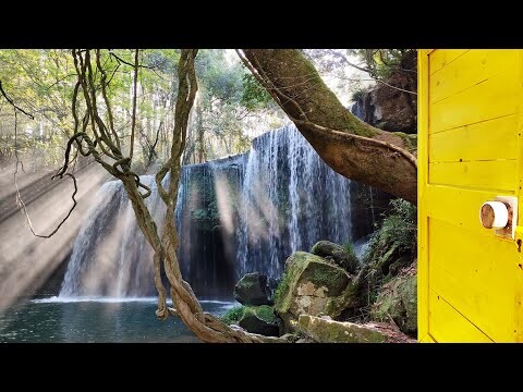 【4K Stroll】Nabegataki Falls - Kumamoto - Japan / A Waterfall Where We Can Walk Behind the Spray