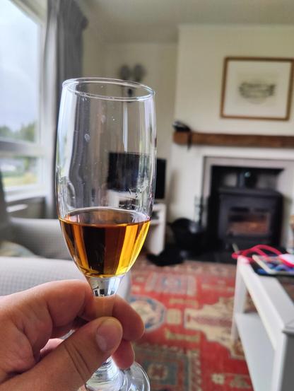 A champagne flute held by the fingers with a backdrop of a window, rug, coffee table and log burner. The glass contains a dram of whisky