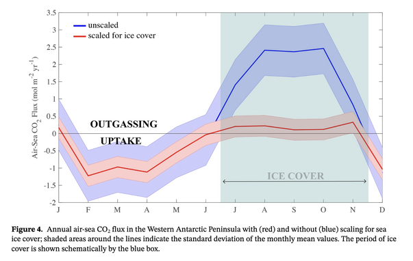 Annual air-sea CO2 flux in the Western Antarctic Peninsula with (red) and without (blue) scaling for sea ice cover; shaded areas around the lines indicate the standard deviation of the monthly mean values. The period of ice cover is shown schematically by the blue box.