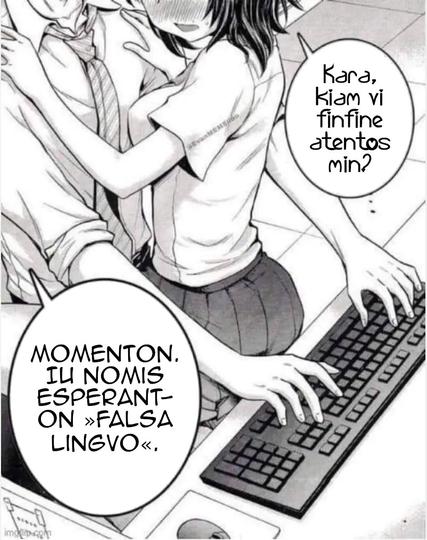 Desegnita bildo animestila de knabo kaj knabino. La knabo fervore tajpas ion sur la klavaro de sia komputilo. Sur lia sino sidiĝis la knabino, kiu karesas lin kun ruĝiĝanta vizaĝo. Ŝi diras, «Kara, kiam vi finfine atentos min?» La viro respondas malvarme, «Momenton. Iu nomis Esperanton “falsa lingvo”.»